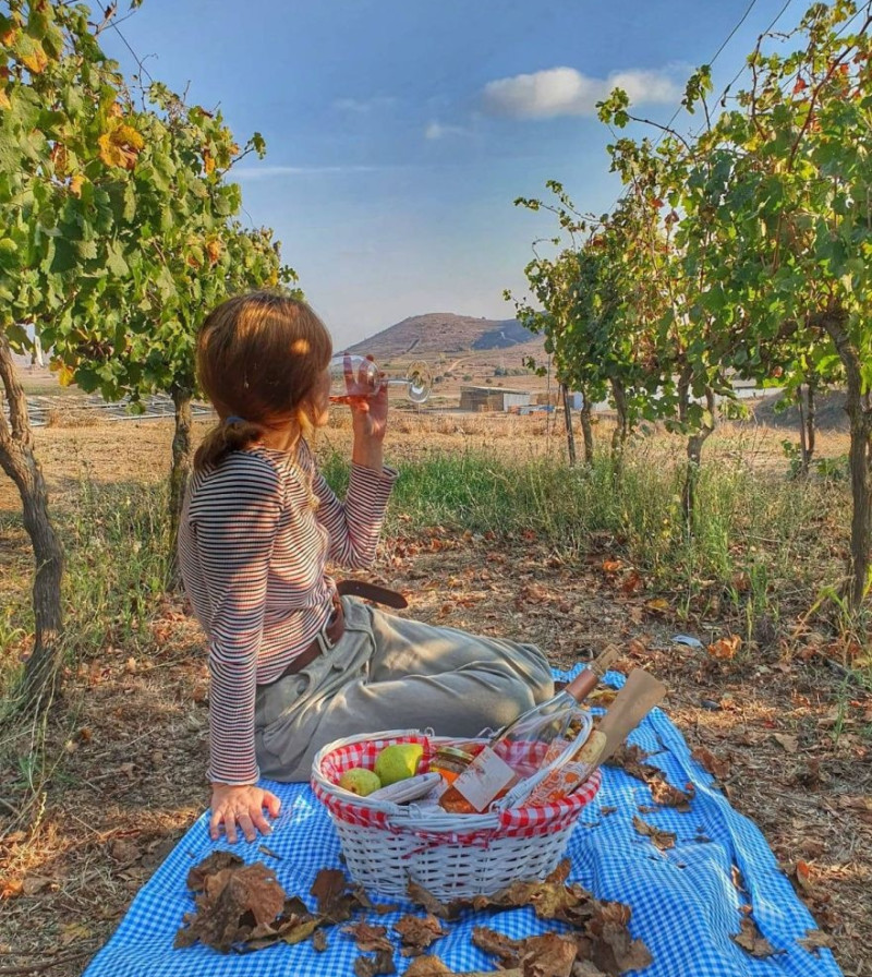 יין של שבת: 10 יקבים שפתוחים גם בשבת